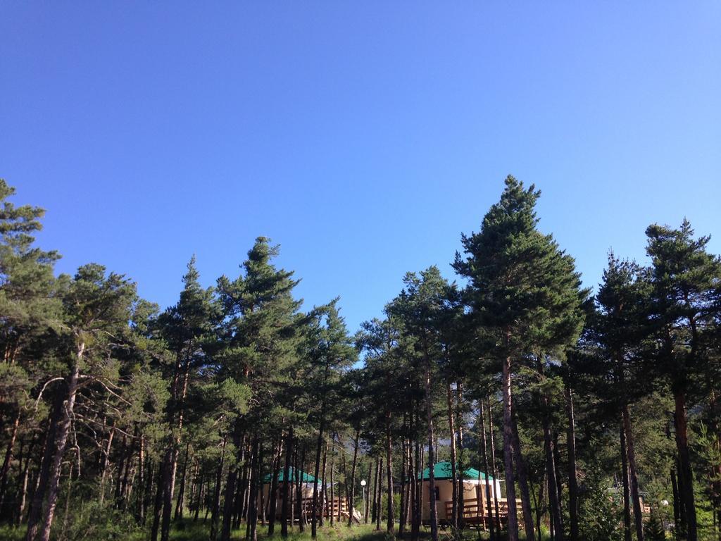 Parc Residentiel De Loisir : Le Loup Blanc Du Riou Hotel Barcelonnette Ngoại thất bức ảnh