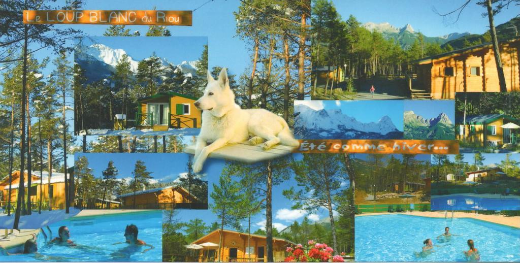 Parc Residentiel De Loisir : Le Loup Blanc Du Riou Hotel Barcelonnette Ngoại thất bức ảnh